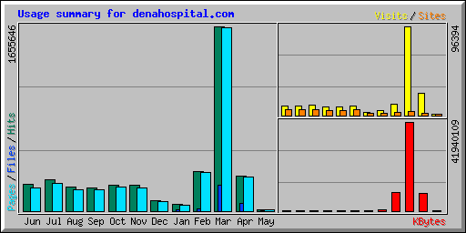 Usage summary for denahospital.com